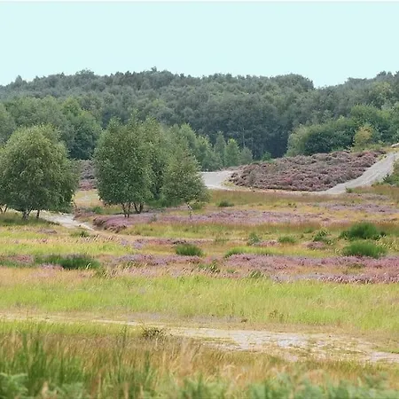 Urban Jungle Rundum Entspannung Mit Sauna