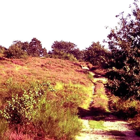 Urban Jungle Rundum Entspannung Mit Sauna Troisdorf