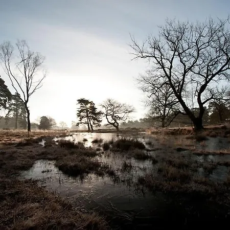 Séjour chez l'habitant Urban Jungle Rundum Entspannung Mit Sauna *