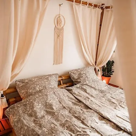 Urban Jungle Rundum Entspannung Mit Sauna *