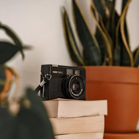 Urban Jungle Rundum Entspannung Mit Sauna Séjour chez l'habitant Troisdorf