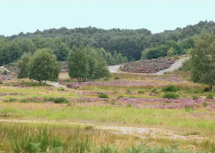 Urban Jungle Rundum Entspannung Mit Sauna