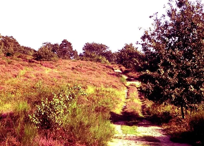 Urban Jungle Rundum Entspannung Mit Sauna Τρόισντορφ