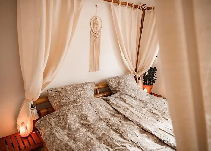 Urban Jungle Rundum Entspannung Mit Sauna *