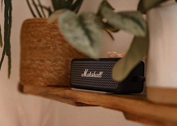 Urban Jungle Rundum Entspannung Mit Sauna *