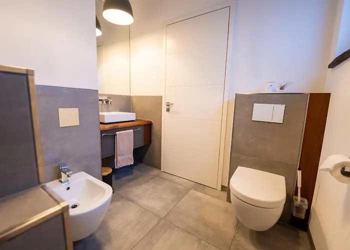 Urban Jungle Rundum Entspannung Mit Sauna